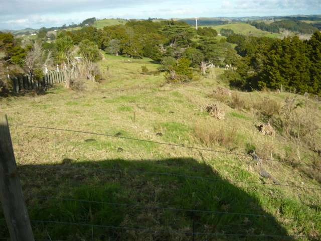 Paparoa-Oakleigh Road Paparoa_3