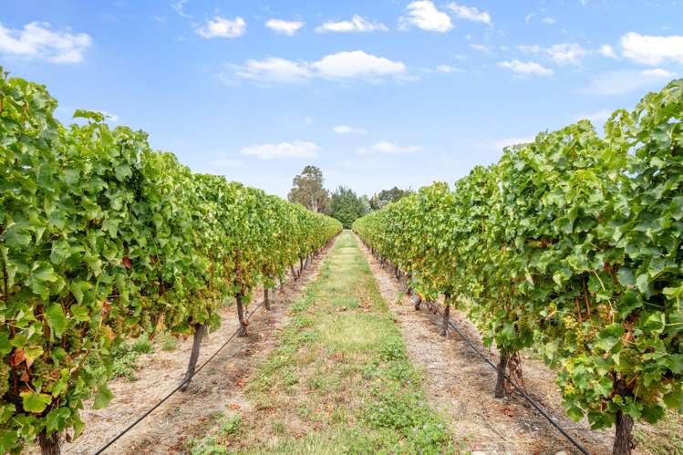 748 Waihopai Valley Road Waihopai Valley_7