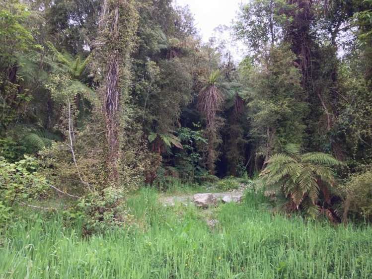 7 Punga Grove Lake Kaniere_13