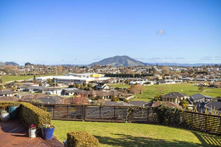 431 Picquet Hill Road Te Awamutu_1