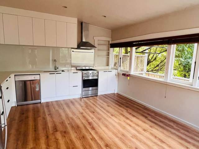 37 Williamson Avenue Grey Lynn_3