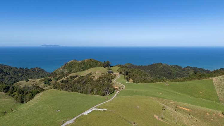 231 Heard Road Waihi_26