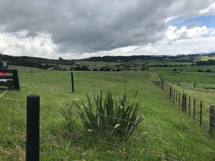 244 Devich Road Mangawhai_5