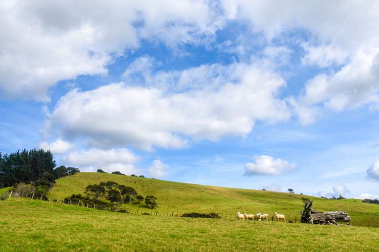 363 Ness Valley Road Ness Valley_36