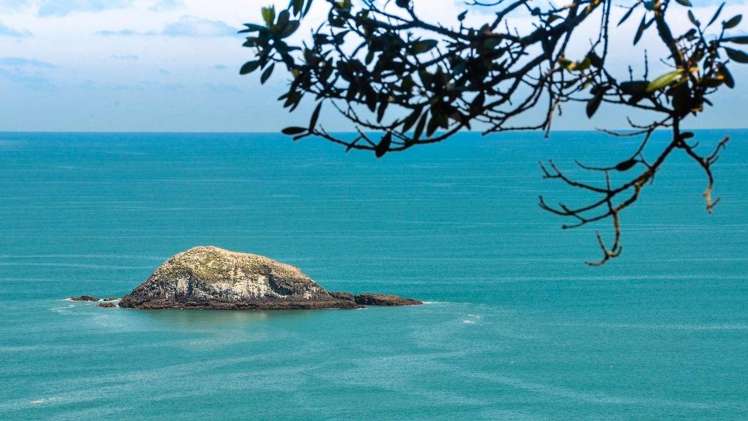 62 Waitea Road Muriwai_13