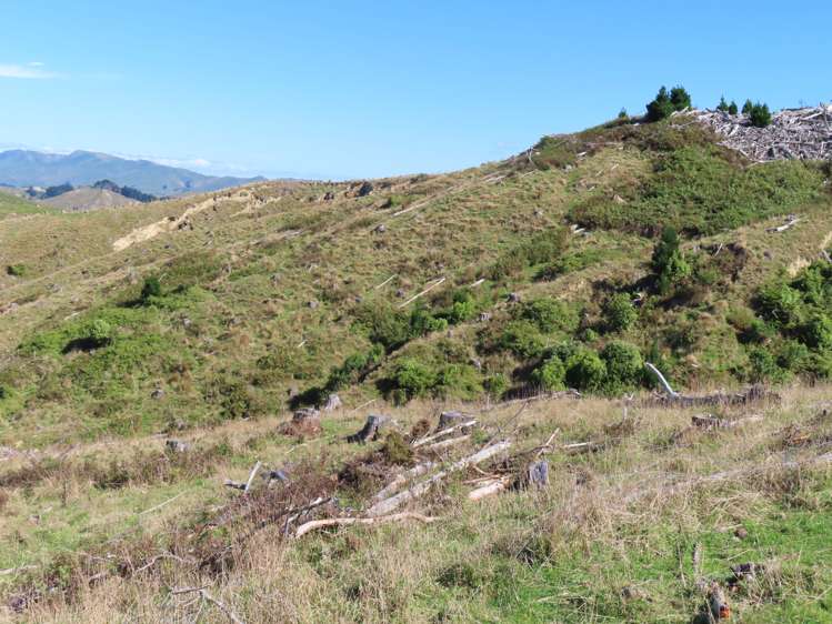 210 Mangamaire Road Dannevirke_8