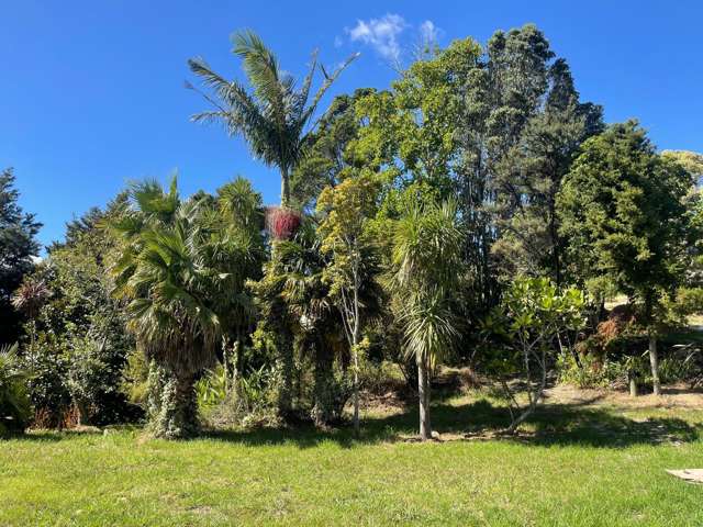 Mangawhai Bush Estate Mangawhai_2