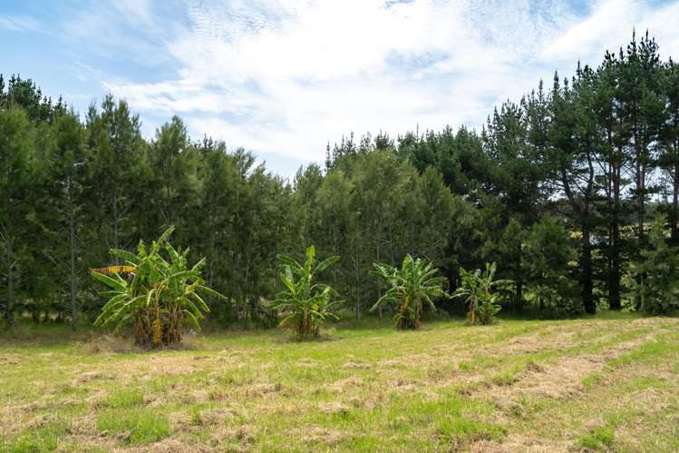 5126 State Highway One Ngataki_13