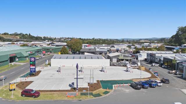 15 Birch Avenue Judea_3