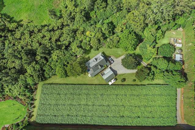 96D Jensen Road Omanawa_3