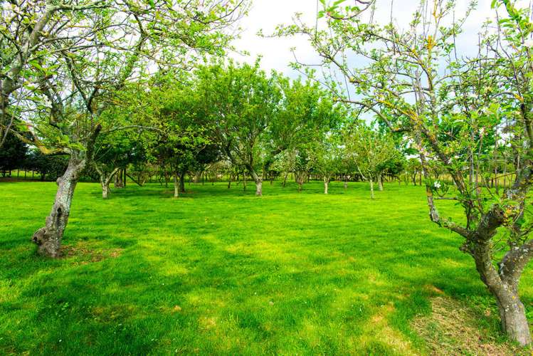 620 Nelson Road Makauri_7