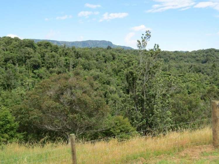 764 Work Road Whakamarama_15