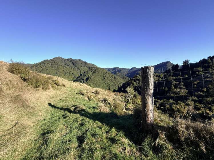 7957 State Highway 2 Opotiki Surrounds_15