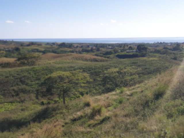 15 Acres Freehold Land – Nasavusavu, Momi, Nadi