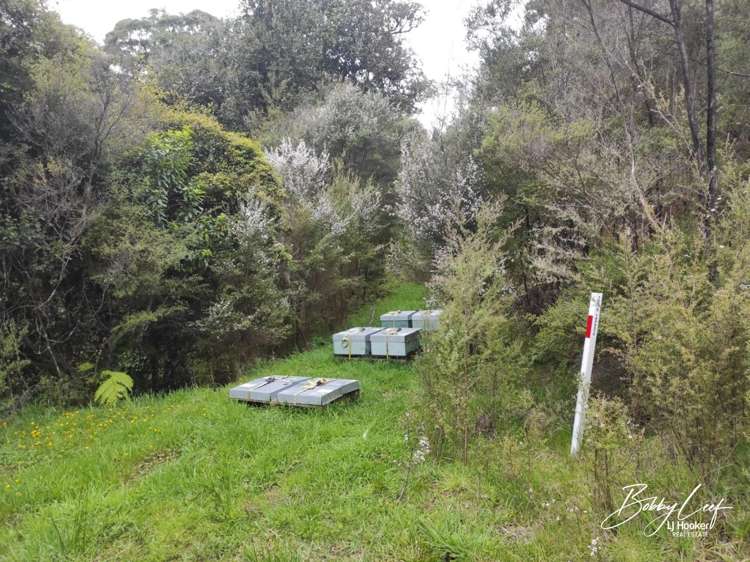 139 Warner Road Takahue_18