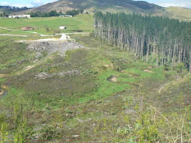 Lifestyle or Forestry