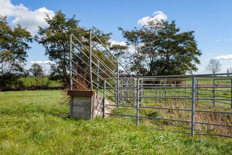 O'Donoghue Road Hauraki Surrounds_14