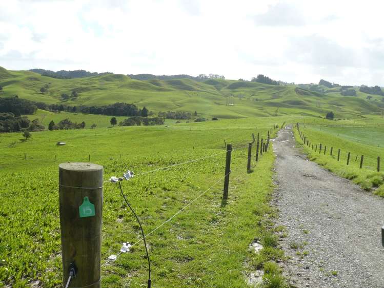 1907 Diggers Valley Road Kaitaia_12