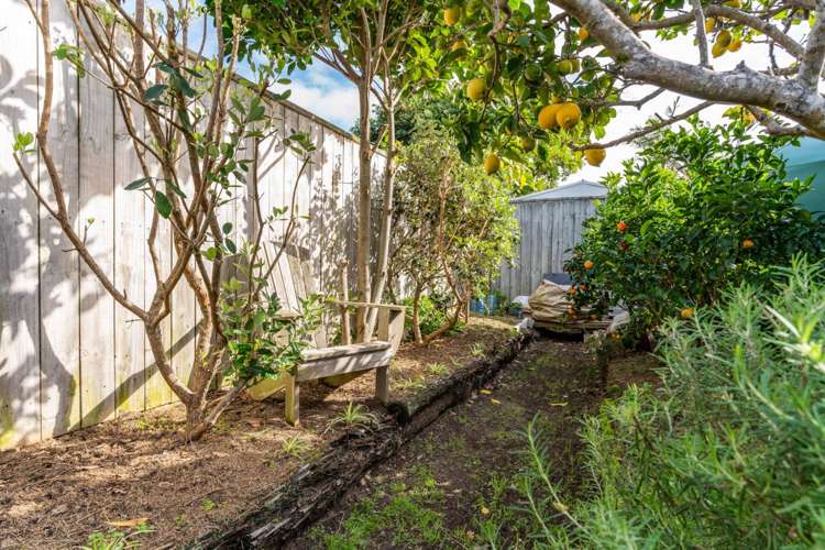 14 Seabreeze Road Mangawhai Heads_29