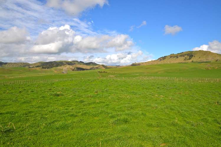 220 Tikitiki Road Te Kuiti_16
