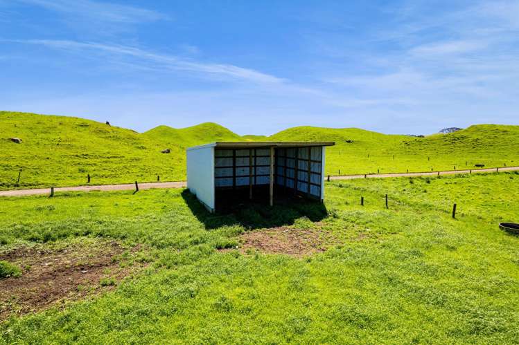 507/537 Parihaka Road Pungarehu_12