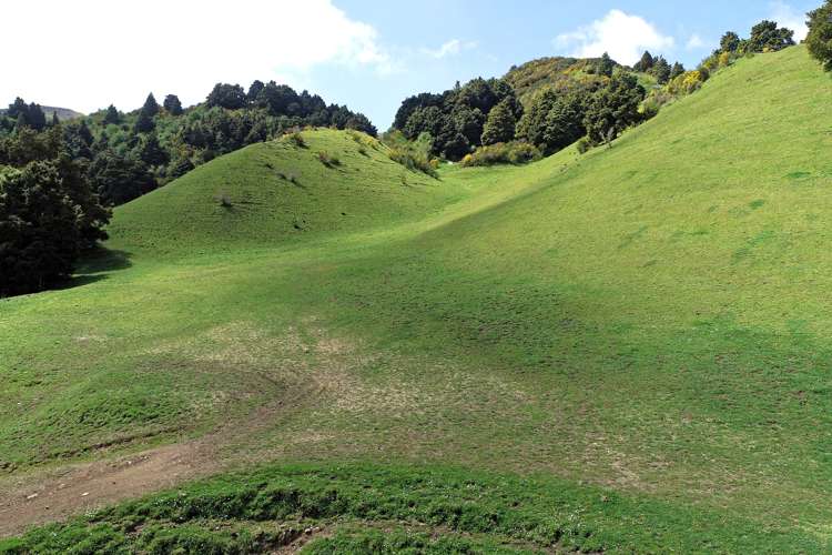 100 Garden Valley Road Brightwater_14