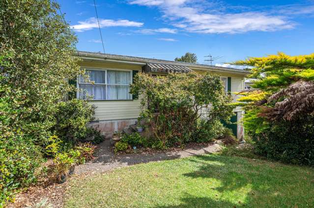59 Webster Avenue Mount Roskill_1