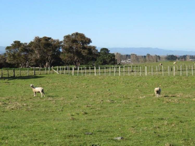 769 State Highway 2 Opaki_20