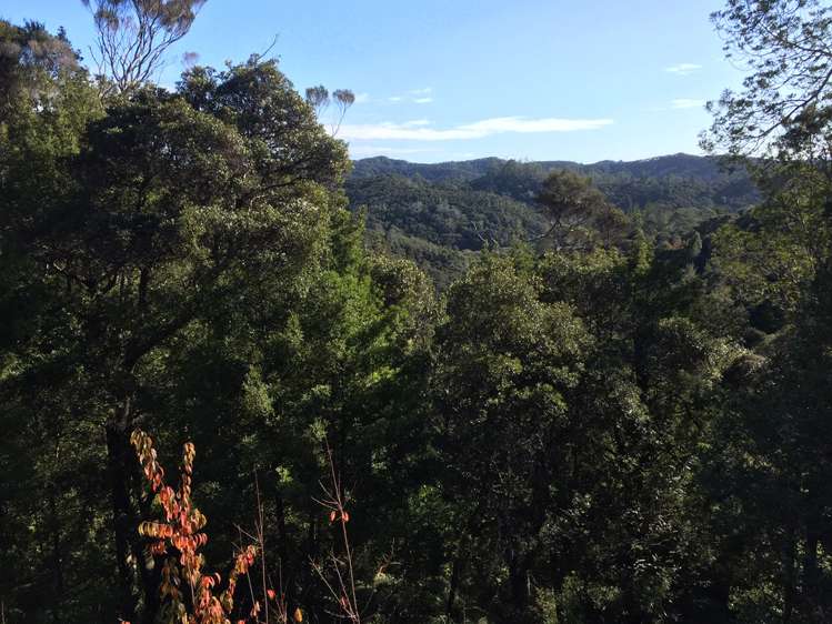 10 Hihitahi Rise Paihia_15