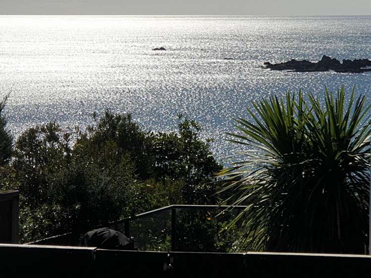 21 Kayes Crescent - Little Bay Coromandel_0