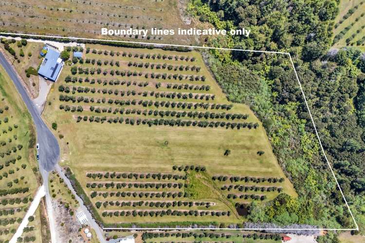 79 Leccino Valley Road Mangonui_27