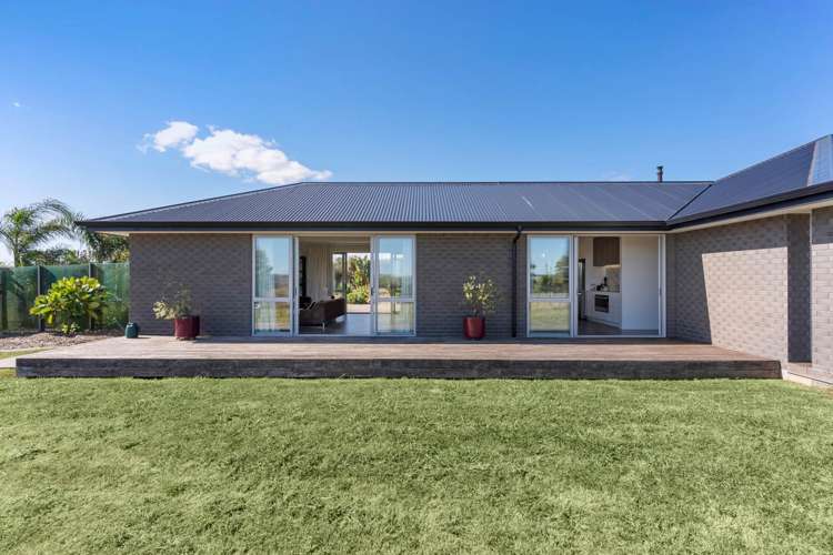 106 Andrews Road Onewhero_16
