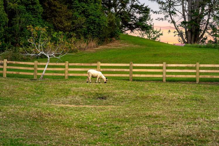 99 Upper Whangateau Road Matakana_20