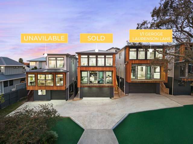 3/1 George Laurenson Lane Mt Roskill_1