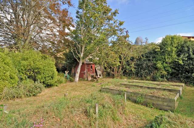 9 Hereweka Street Portobello_2