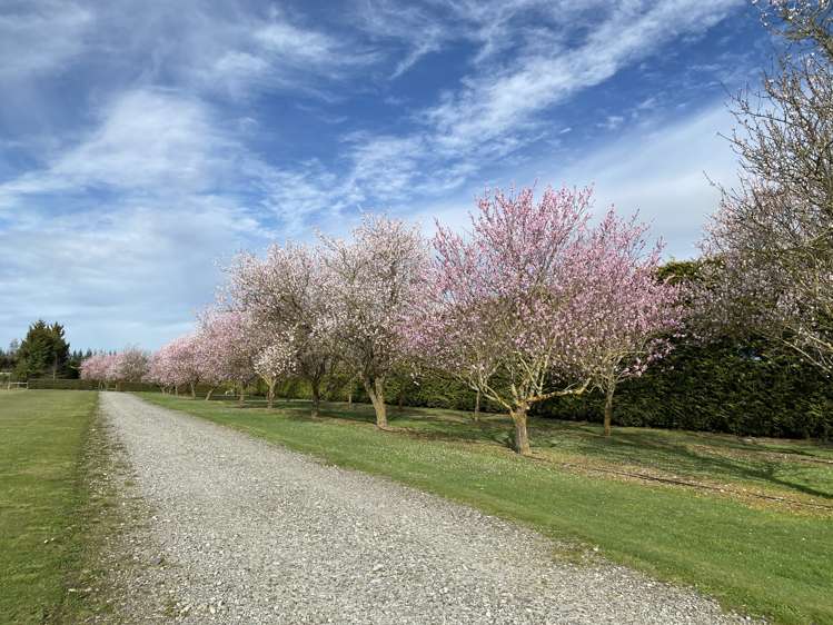 805 Downs Road West Eyreton_9