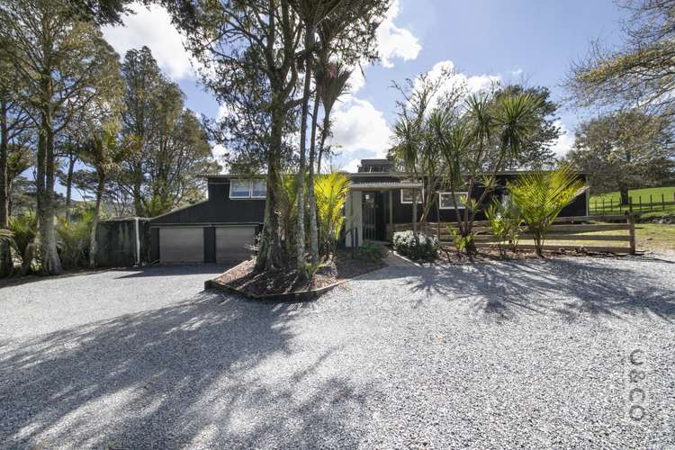 353 Taylor Road Helensville_5