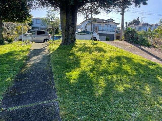 8 Subritzky Avenue Mount Roskill_4