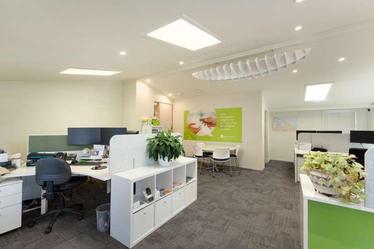 43 Girven Road Mount Maunganui_11