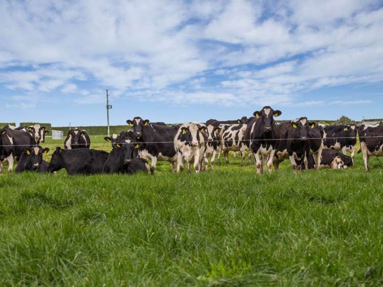 46 Mitchells Road Bankside_10