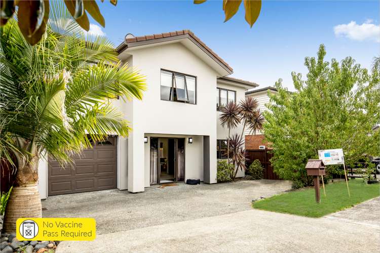 21 Janway Avenue Flat Bush_0