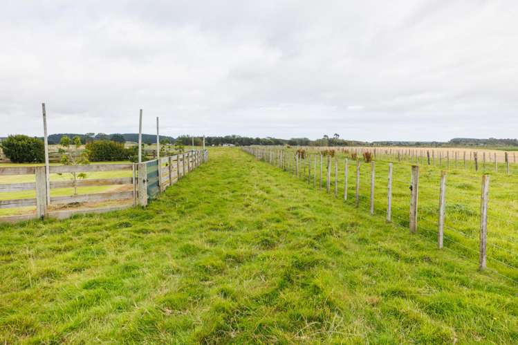 129 Pukepapa Road Extension Lake Alice_13