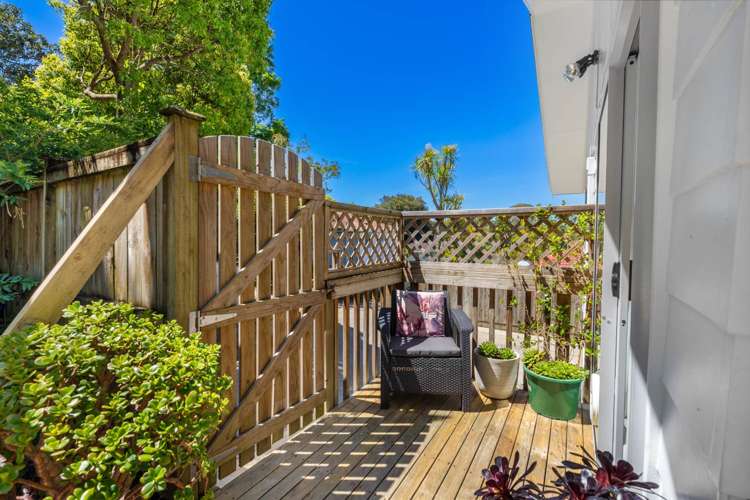 22 Gerontius Glade Torbay_7