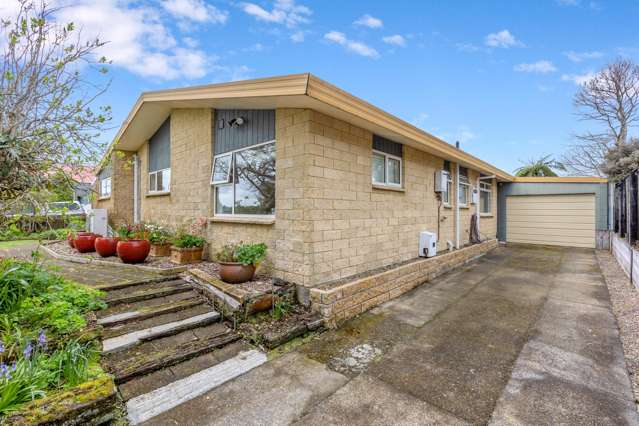 25 Nikau Street Inglewood_2