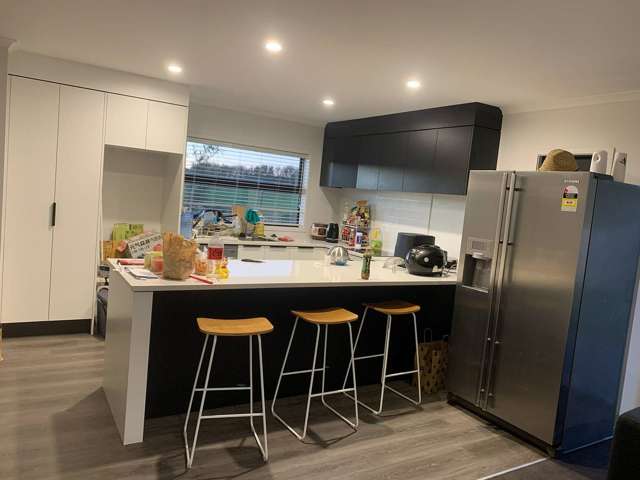 70 Washer Road Horotiu_1