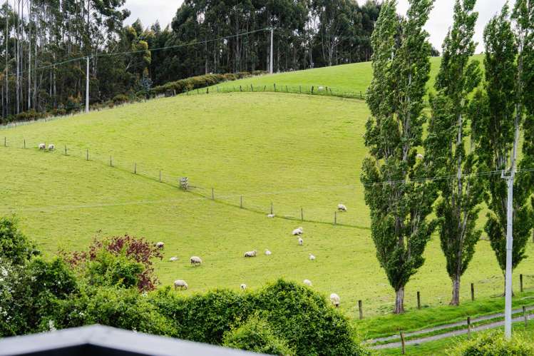 5 Ella Lane Green Island_6