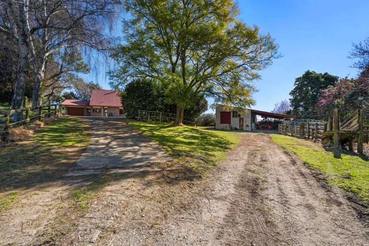 36 Harrison Road Tauriko_21