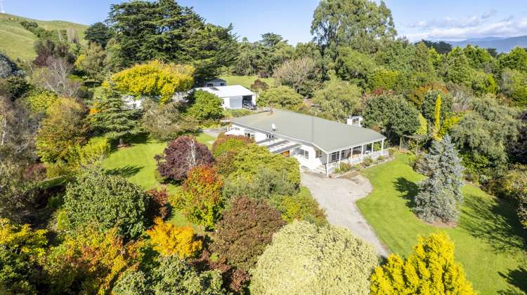 124 Alfredton Road Eketahuna_11
