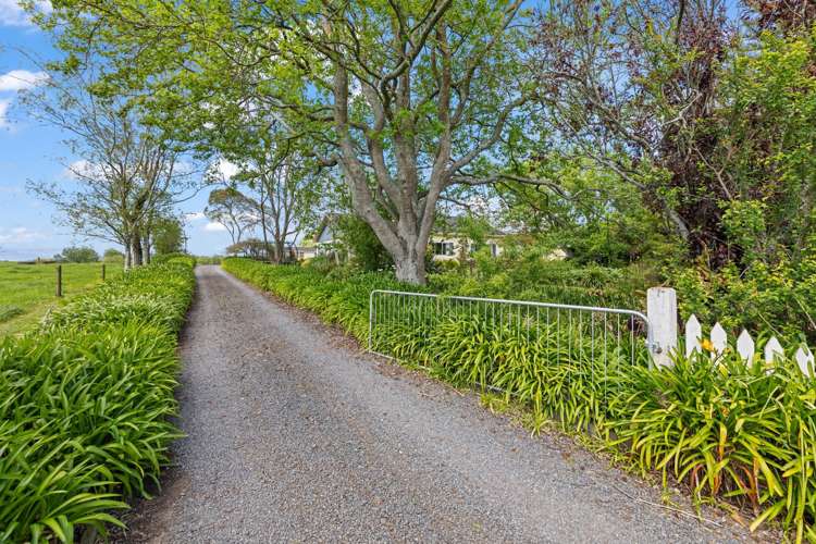 360 Tauhei Road Morrinsville_23