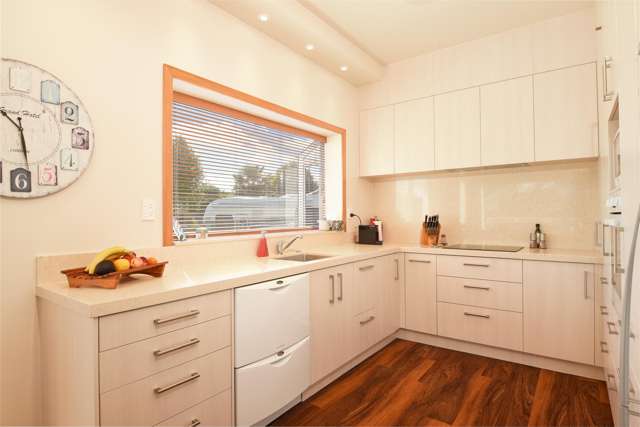 33 McKenzie Road Owhata_1